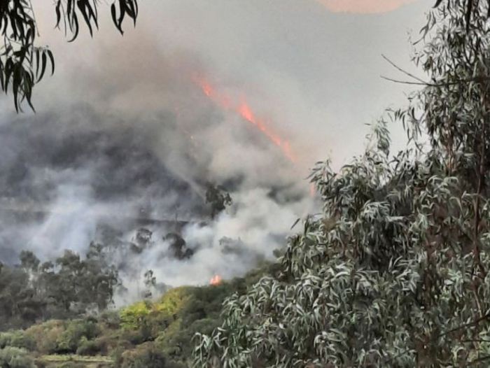 Das Foto wurde in einiger Entfernung eines brennenden Waldes von einer Erhöhung aufgenommen. Der Wald am gegenübeliegenden Hang ist von Rauch verhangen, der sich bis ins Tal zieht. Man sieht durch den Rauchnebel eine Linie aus Flammen, die sich den Hügel 