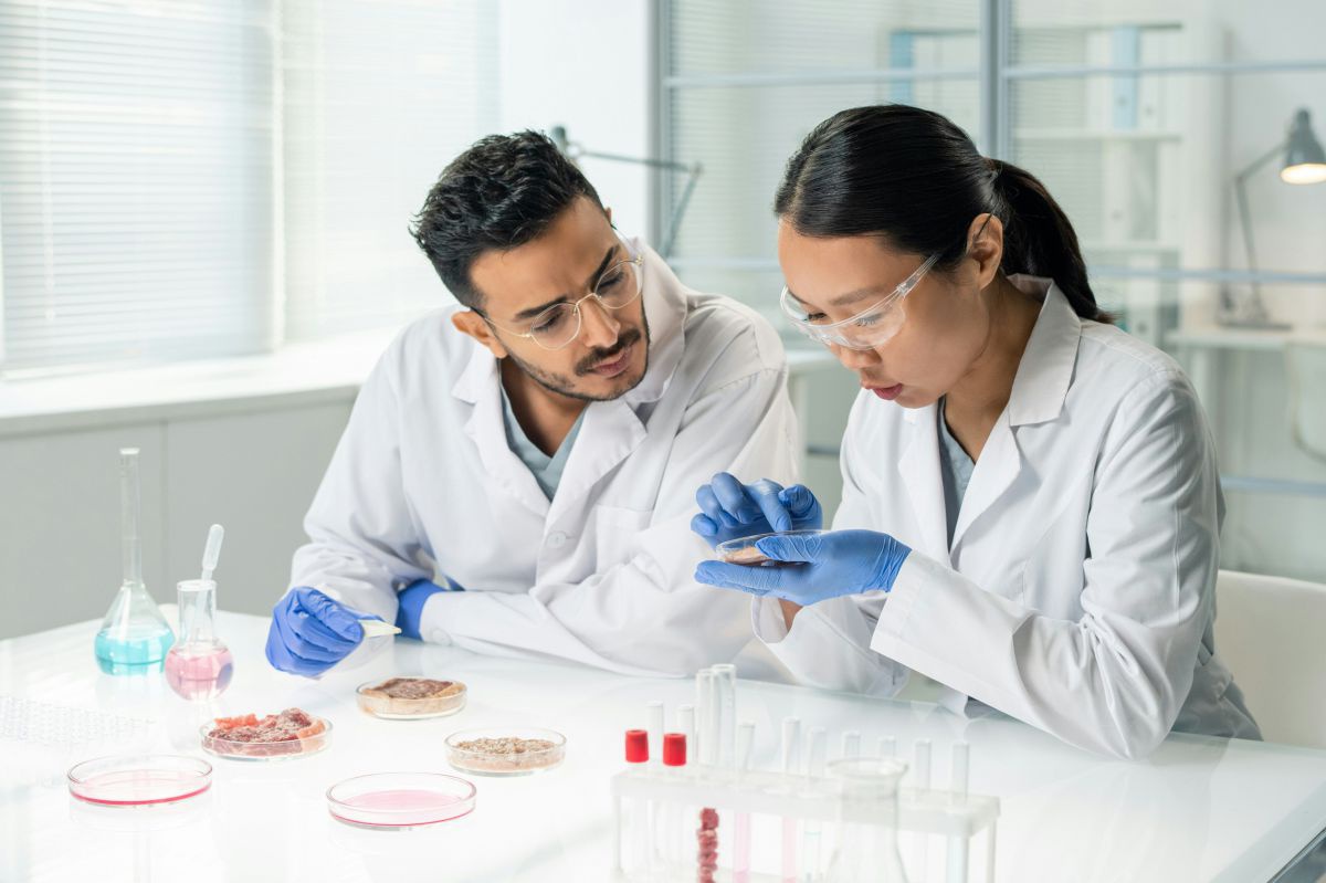 Zwei interkulturelle Forscher*innen beim Untersuchen des Inhalts einer Petrischale. Sie tragen weiße Arbeitskittel, Schutzbrillen und blaue Handschuhe. Der Raum ist hell beleuchtet. Auf dem Glastisch, an dem die beiden tätig sind, stehen weitere Petrischa